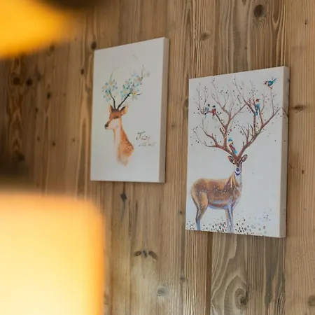 Alpen D4 Saalbach-Hinterglemm